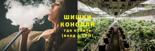 PSILOCYBIN Аркадак