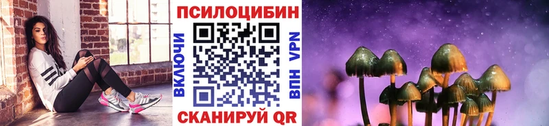 Галлюциногенные грибы Psilocybine cubensis  Купить где  Урень 